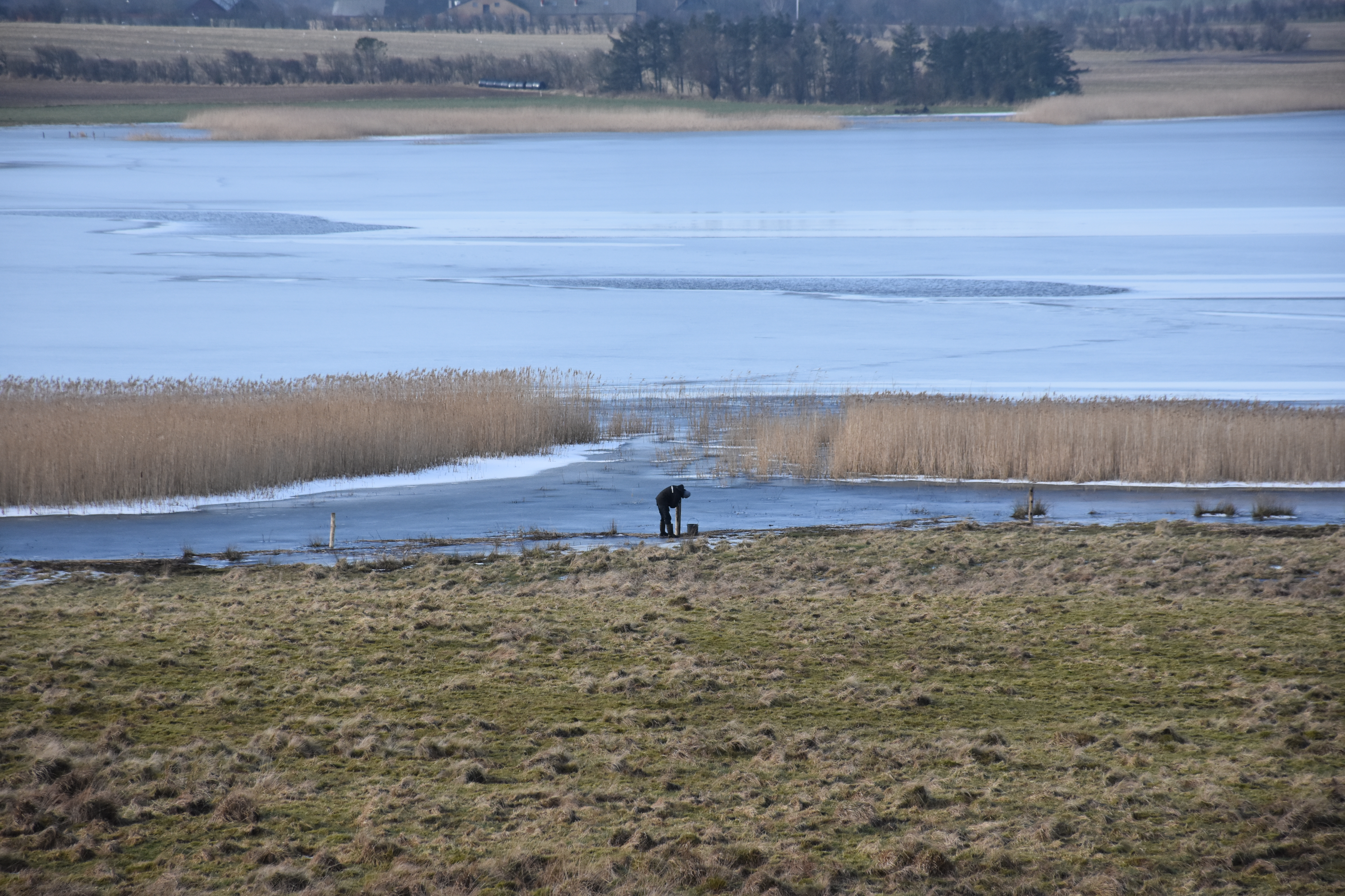 Det kræver også hårdt mauelt arbejde at sætte et hegn. Foto Klavs Bærent Iversen