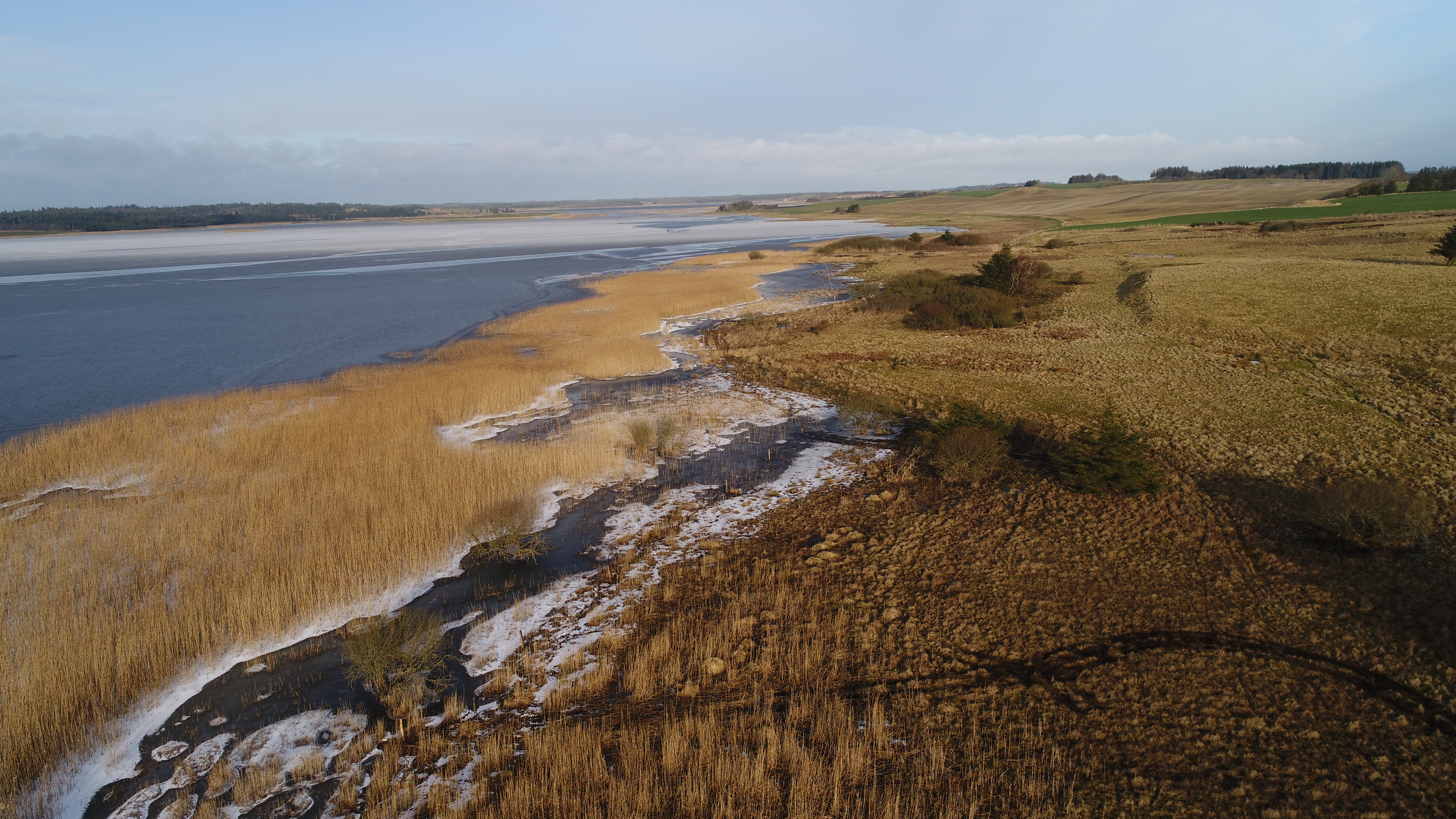 Området der skal hegnes. Foto Klavs Bærent Iversen