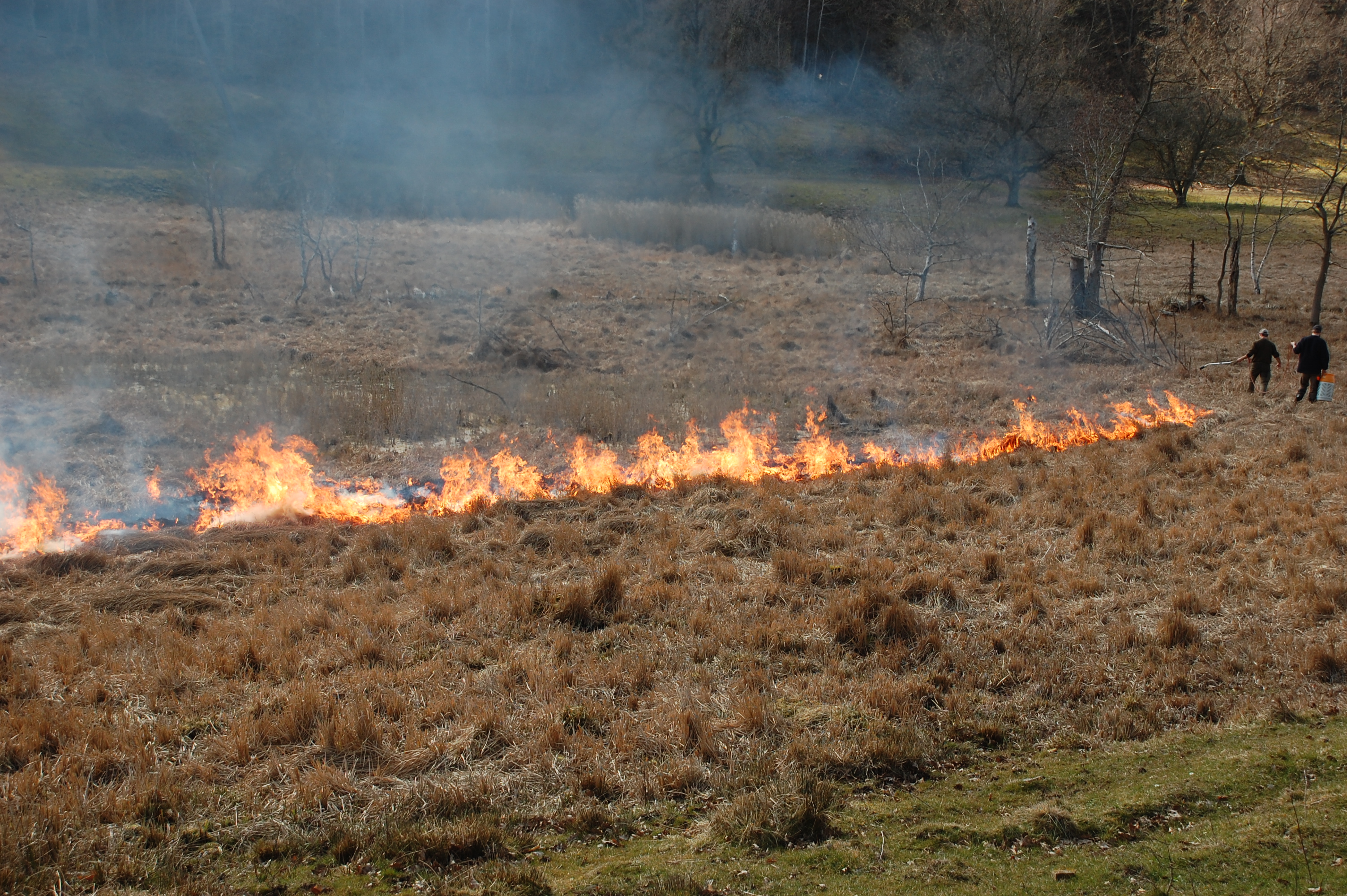 Naturplejeafbrænding - marts 2021 - Foto 3