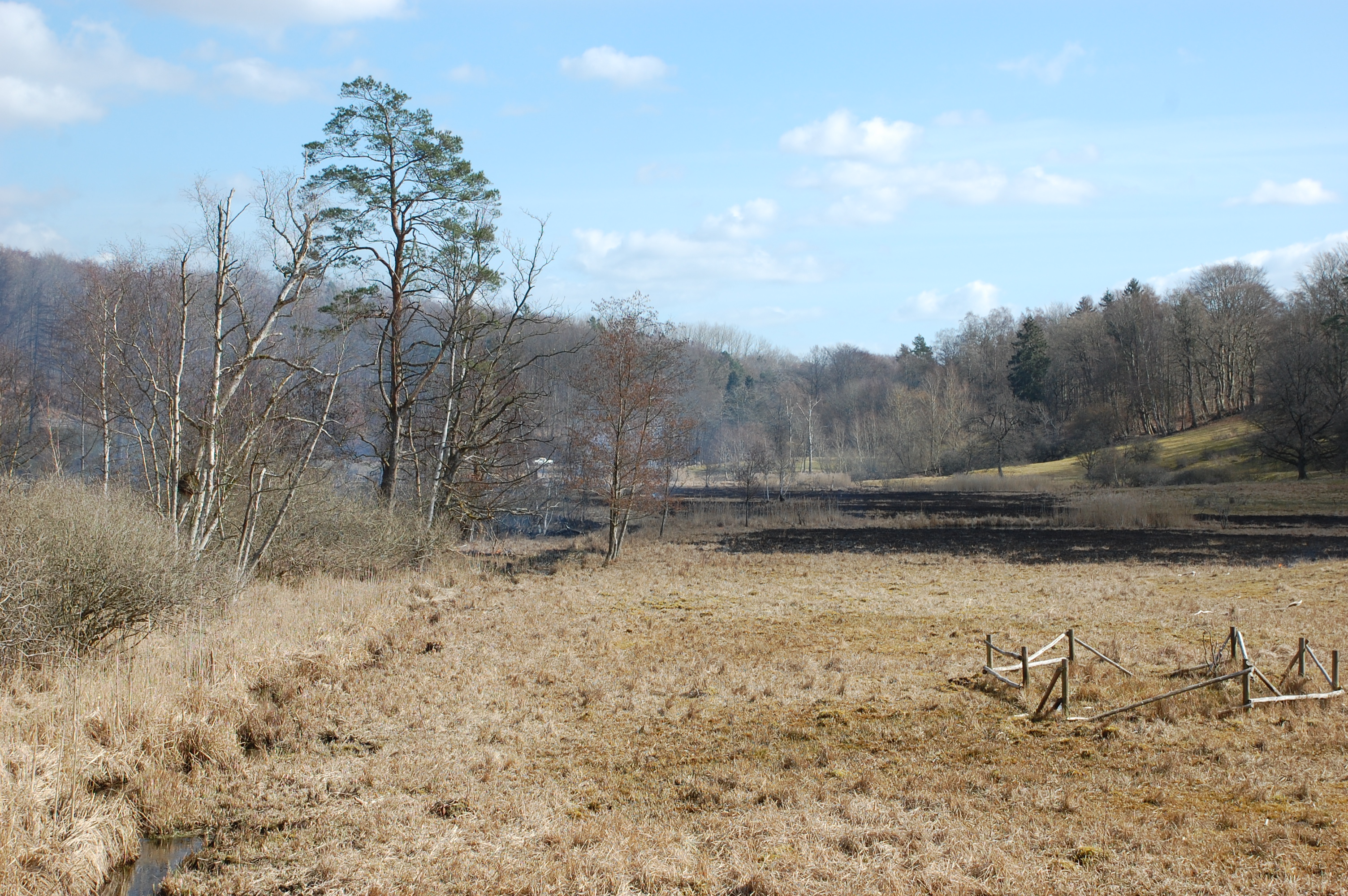 Naturplejeafbrænding - marts 2021 - Foto 7