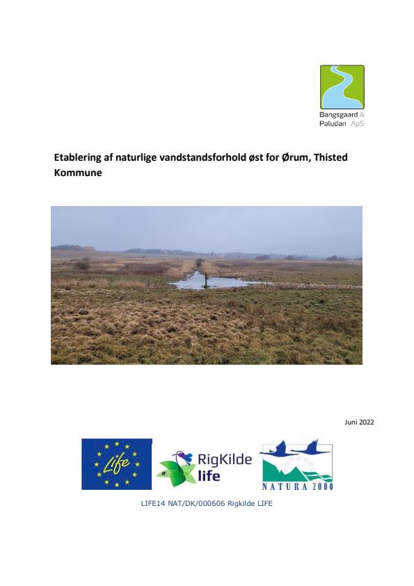 Establishment of natural water level conditions east of Ørum